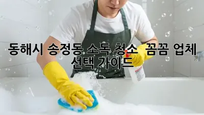 동해시 송정동 소독 청소 ✨ 꼼꼼 업체 선택 가이드